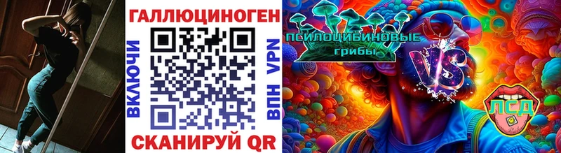 Псилоцибиновые грибы Psilocybe  Октябрьск 